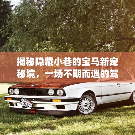揭秘隐藏小巷的宝马新宠秘境，一场不期而遇的驾驶盛宴——宝马最新款车型探秘