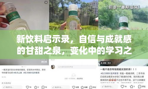 新饮料启示录，自信与成就感的甘甜之泉，变化中的学习之旅（2017年11月最新饮料概览）
