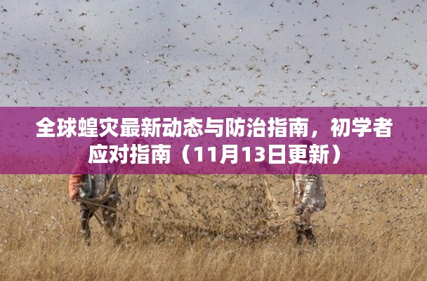 全球蝗灾最新动态与防治指南，初学者应对指南（11月13日更新）