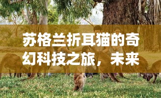 苏格兰折耳猫的奇幻科技之旅,未来生活新纪元探索小说发布纪实