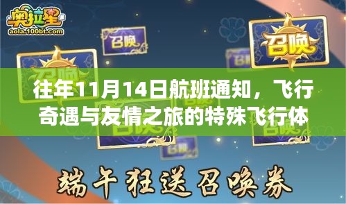 往年11月14日航班通知，飞行奇遇与友情之旅的特殊飞行体验