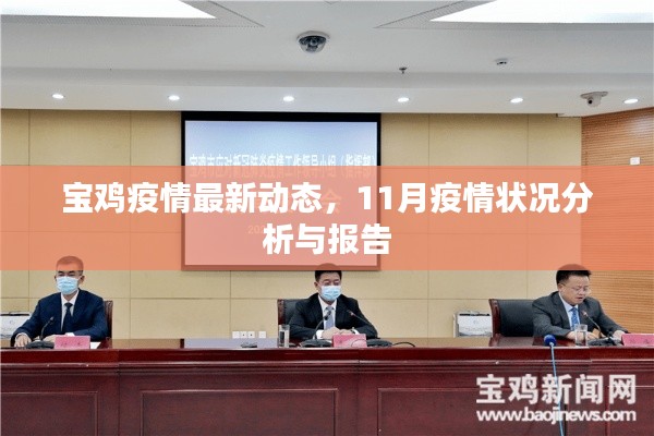 宝鸡疫情最新动态，11月疫情状况分析与报告