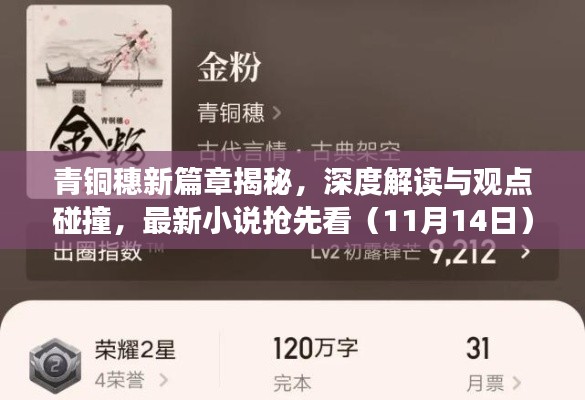 青铜穗新篇章揭秘，深度解读与观点碰撞，最新小说抢先看（11月14日）