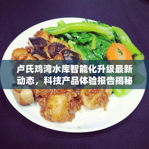 卢氏鸡湾水库智能化升级最新动态，科技产品体验报告揭秘重磅更新消息
