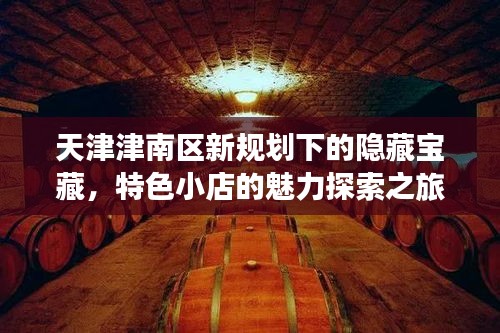 天津津南区新规划下的隐藏宝藏，特色小店的魅力探索之旅