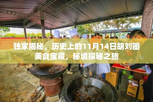 独家揭秘，历史上的11月14日胡刘圈美食宝藏，秘境探秘之旅