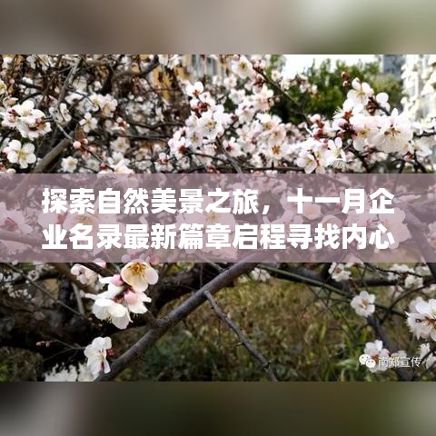 探索自然美景之旅,十一月企业名录最新篇章启程寻找内心的宁静与平和