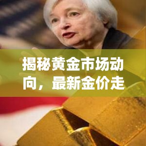 揭秘黄金市场动向，最新金价走势与投资趋势分析（11月14日）