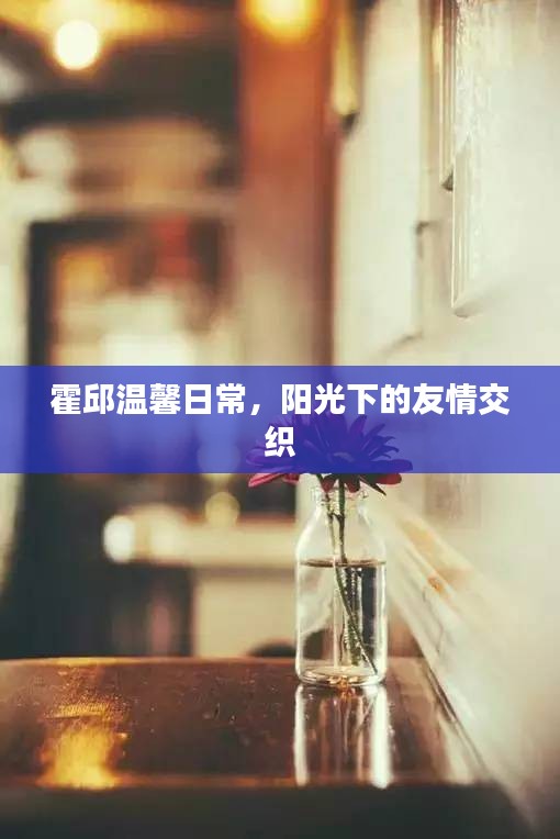 霍邱温馨日常，阳光下的友情交织