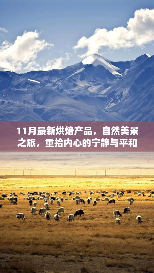 11月最新烘焙产品，自然美景之旅，重拾内心的宁静与平和的探索