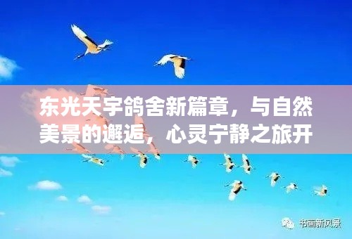 东光天宇鸽舍新篇章，与自然美景的邂逅，心灵宁静之旅开启