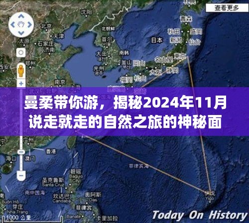 曼柔带你游，揭秘2024年11月说走就走的自然之旅的神秘面纱