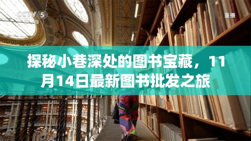 探秘小巷深处的图书宝藏，11月14日最新图书批发之旅