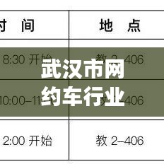 武汉市网约车行业新动态，聚焦变革与影响，最新消息发布于2024年11月14日