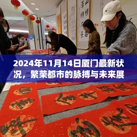 2024年11月14日厦门最新状况，繁荣都市的脉搏与未来展望