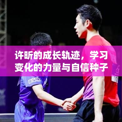 许昕的成长轨迹，学习变化的力量与自信种子在往年11月14日的绽放时刻
