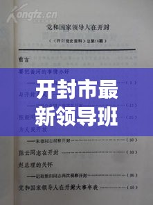 开封市最新领导班子概览及关注指南,从初学者到进阶用户的必备参考