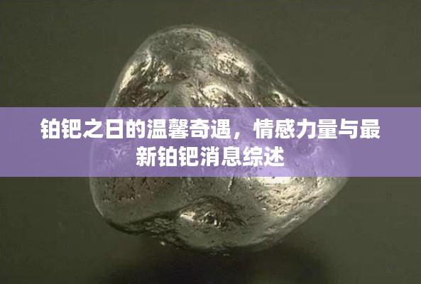 铂钯之日的温馨奇遇，情感力量与最新铂钯消息综述