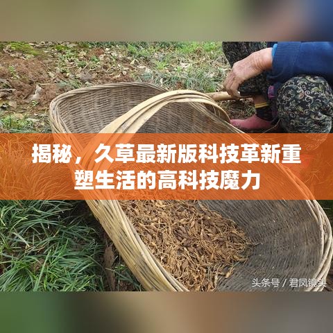 揭秘，久草最新版科技革新重塑生活的高科技魔力