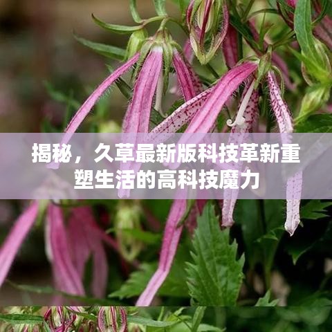 揭秘,久草最新版科技革新重塑生活的高科技魔力