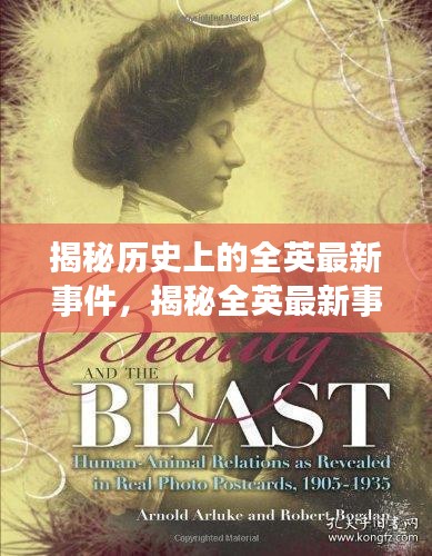 揭秘历史上的全英最新事件，揭秘全英最新事件回顾与揭秘（日期为11月14日）