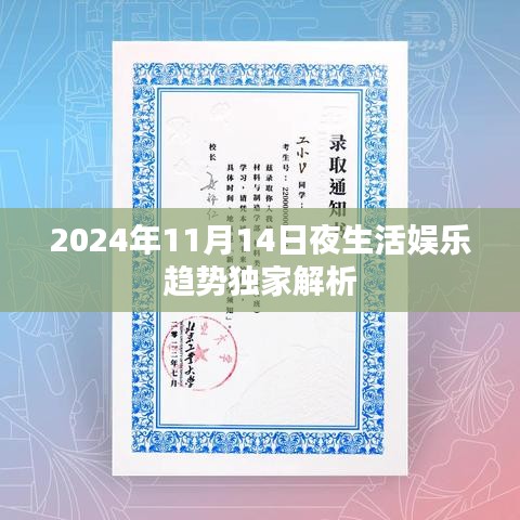 2024年11月14日夜生活娱乐趋势独家解析