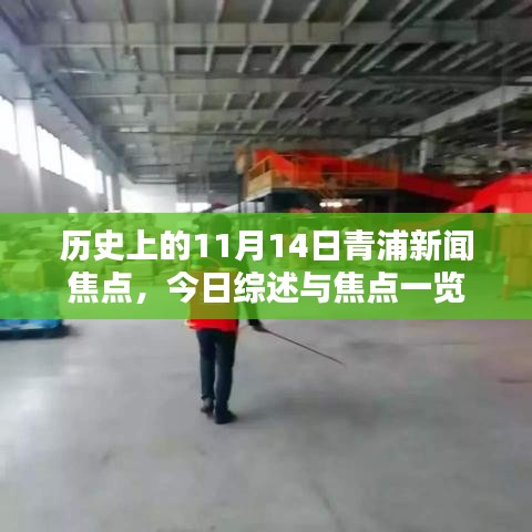 历史上的11月14日青浦新闻焦点，今日综述与焦点一览