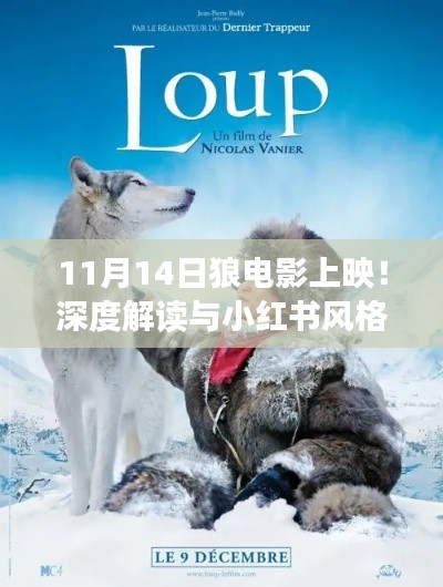 11月14日狼电影上映！深度解读与小红书风格影评