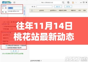 往年11月14日桃花站最新动态概览，最新消息一览无余
