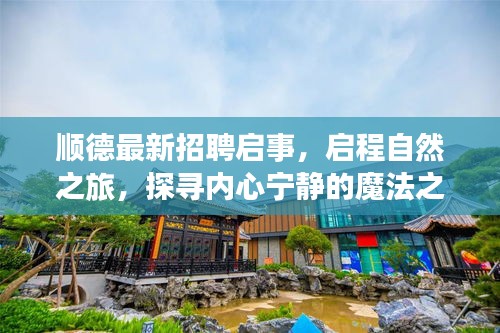 顺德最新招聘启事，启程自然之旅，探寻内心宁静的魔法之地（2024年11月）