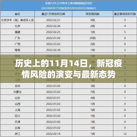 历史上的11月14日，新冠疫情风险的演变与最新态势