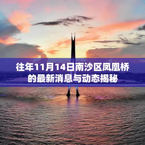 往年11月14日南沙区凤凰桥的最新消息与动态揭秘
