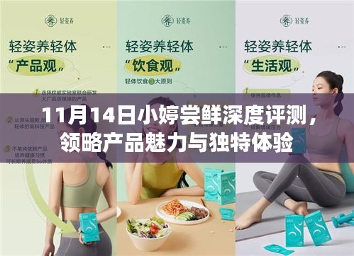 11月14日小婷尝鲜深度评测，领略产品魅力与独特体验