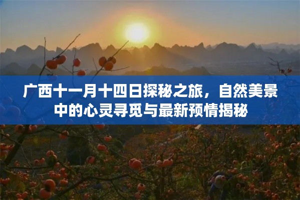 广西十一月十四日探秘之旅，自然美景中的心灵寻觅与最新预情揭秘