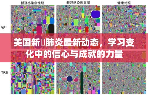 美国新蒄肺炎最新动态，学习变化中的信心与成就的力量