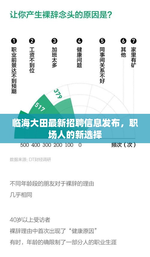 临海大田最新招聘信息发布，职场人的新选择