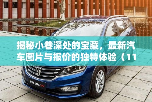 揭秘小巷深处的宝藏，最新汽车图片与报价的独特体验（11月最新更新）