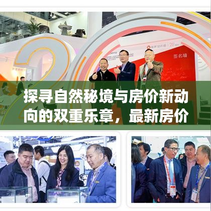 探寻自然秘境与房价新动向的双重乐章，最新房价走势与心灵之旅的交融——阳光之旅 2024年11月14日最新消息