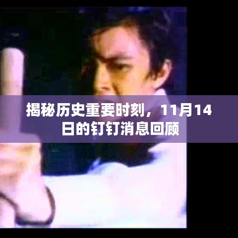 揭秘历史重要时刻，11月14日的钉钉消息回顾