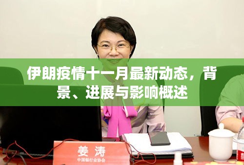 伊朗疫情十一月最新动态，背景、进展与影响概述