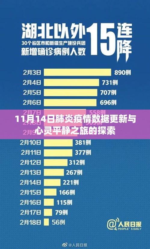 11月14日肺炎疫情数据更新与心灵平静之旅的探索
