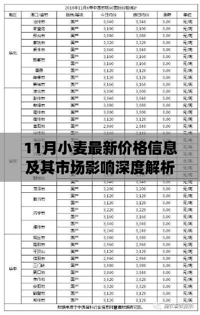 11月小麦最新价格信息及其市场影响深度解析