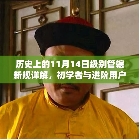 历史上的11月14日级别管辖新规详解，初学者与进阶用户指南
