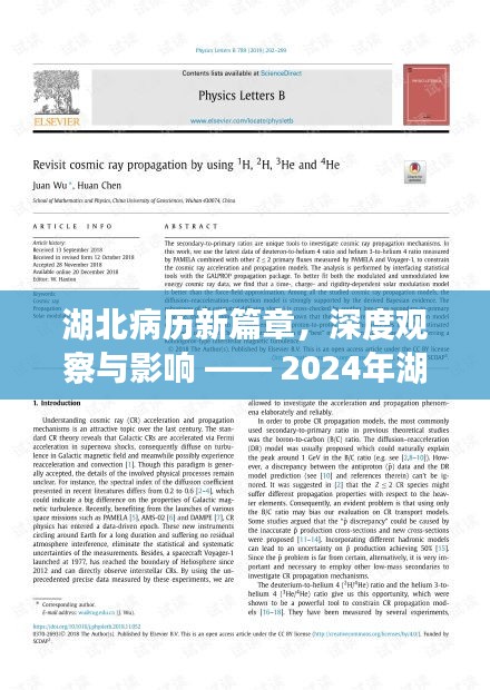 湖北病历新篇章，深度观察与影响 —— 2024年湖北病历报告解析