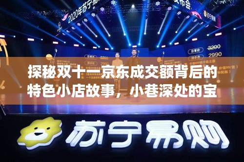 探秘双十一京东成交额背后的特色小店故事，小巷深处的宝藏与历史印记的交汇日（11月14日最新数据）