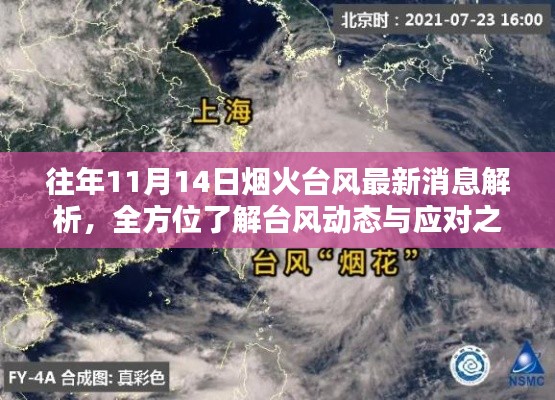 往年11月14日烟火台风最新消息解析，全方位了解台风动态与应对之策