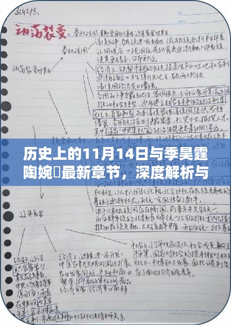 历史上的11月14日与季昊霆陶婉玗最新章节，深度解析与观点阐述