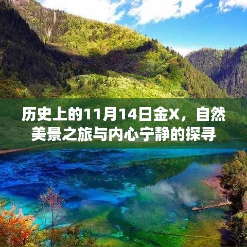 历史上的11月14日金X，自然美景之旅与内心宁静的探寻