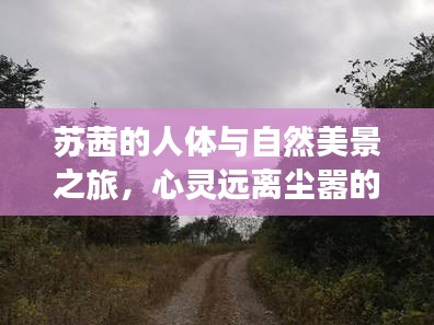苏茜的人体与自然美景之旅，心灵远离尘嚣的探索之旅