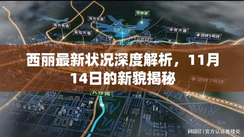 西丽最新状况深度解析，11月14日的新貌揭秘